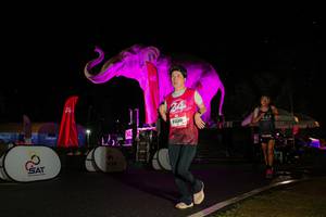 BIB: 
                            <button type="button" onclick="openModal(26543580)" class="btn btn-primary btn-sm float-right btn-popup" data-toggle="modal" data-target=".modal-high-quality">
                        <i class="fas fa-shopping-cart"></i> Add to Cart
                    </button>
                                            <button type="button" onclick="isThisMe(26543580, true)" class="btn btn-success btn-sm float-right btn-popup btn-isme hidden" data-toggle="tooltip" data-placement="bottom" title="นี่คือรูปของคุณใช่ไหม คลิกที่นี่เพื่อเอาเข้าอัลบั้ม">
                        <i class="fas fa-plus"></i> Add to album
                    </button>
                    <button type="button" onclick="isThisMe(26543580, false)" class="btn btn-warning btn-sm float-right btn-popup btn-isnotme hidden">
                        <i class="fas fa-ban"></i> Remove from album
                    </button>